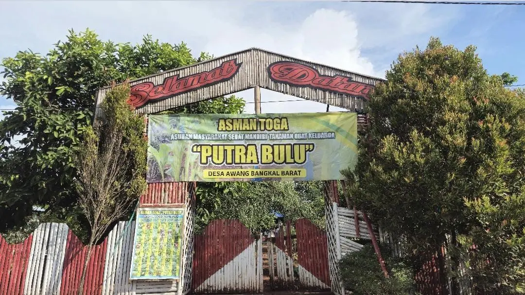 Kebun Tanaman Obat Keluarga binaan PKK Awang Bangkal Barat